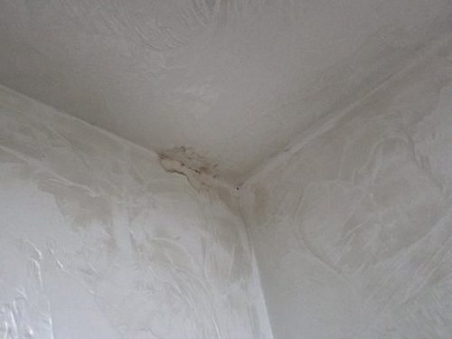 금산군 누수탐지 배관 누수 탐지 과정에서 가스 탐지기로 배관 주변을 점검하는 모습